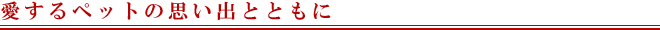 愛するペットの思い出とともに